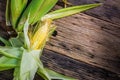 Top view raw corn On old wooden table. Royalty Free Stock Photo