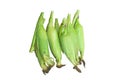 Top view raw corn Royalty Free Stock Photo
