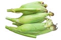 Top view raw corn Royalty Free Stock Photo