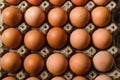 Top view of raw fresh organic healthy brown eggs in a carton box Royalty Free Stock Photo