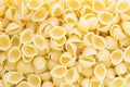 Top view of raw Italian pasta Conchiglie