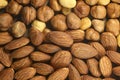 Top view of raw and peeled roasted brown hazelnuts and almonds Royalty Free Stock Photo