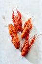 Top view of red crayfish Royalty Free Stock Photo