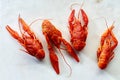 Top view of red crayfish Royalty Free Stock Photo