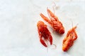 Top view of red crayfish Royalty Free Stock Photo