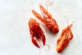 Top view of red crayfish Royalty Free Stock Photo