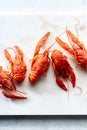 Top view of red crayfish Royalty Free Stock Photo