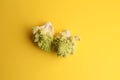 Top view of raw romanesco broccoli isolated on a yellow background Royalty Free Stock Photo