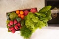 Top view of a recyclable cardboard box with fresh organic crop of fruits, vegetables and greens on the kitchen counter Royalty Free Stock Photo