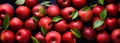 Top View of Red Apples and leaves with Fresh Water Drops, Vibrant Healthy Eating, Apple Fruit Backgrounds, Ai generative Royalty Free Stock Photo