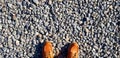 Top view of red or brown leather boots or fashion shoes on gravel ground