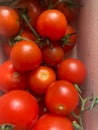 Red cherry tomatoes on white background