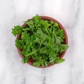 Chopped curly parsley sprigs in a bowl Royalty Free Stock Photo