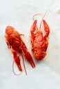 Top view of red crayfish Royalty Free Stock Photo