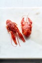 Top view of red crayfish Royalty Free Stock Photo