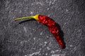 Top view of red dried small chili peppers on black stone background. the concept of the penis, potency problems, impotence Royalty Free Stock Photo