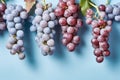 Top view of red grapes on pastel blue background