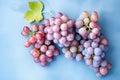 Top view of red grapes on pastel blue background