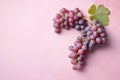 Top view of red grapes on pastel pink background