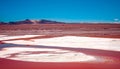 Top view of red Laguna Colorada with flock of flamingos in Bolivia