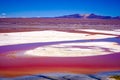 Top view of red Laguna Colorada with flock of flamingos in Bolivia