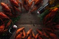 Top view of red lobsters, dill and glass bottles with beer on wooden surface.