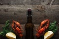 Top view of red lobsters, dill, lemon slices and bottle with beer on wooden surface. Royalty Free Stock Photo