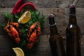 Top view of red lobsters, lemon slices, dill, pepper and bottles with beer on wooden surface. Royalty Free Stock Photo