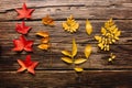 Top view of red maple leaves in one row from small to large and several yellow leaves in dark rustic wooden background. Leaves on