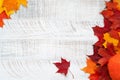 Top view of red, orange and yellow maple leaves and pumpkin on the white wooden background.