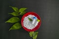 Top view of red plate filled with white sugar pills. Homeopathic medicine grains scattered on a red plate with green leaf on the Royalty Free Stock Photo