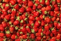 Top view of red ripe fresh strawberries. Food background. Lots of tasty berries