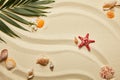 Top view of red starfish and Royalty Free Stock Photo