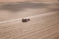 Top view of red Tractor and  workers baling and collecting hay Royalty Free Stock Photo