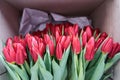 Top view of red tulips in an ecological paper box ready for delivery. Many flowers In cardboard box for present with Royalty Free Stock Photo