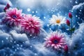 a top view of red and white flowers over snowy abstract background with falling snow in winter Royalty Free Stock Photo