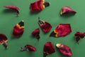 Top view of red wilted petals of red tulips on the green surface.Dried petals as a background