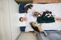 Man dogs and cat lying on bed with blue sheet Royalty Free Stock Photo