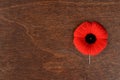 Top view remembrance day poppy