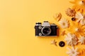 top view of retro camera with flowers and seashells on yellow background