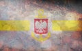 Top view of retro flag Hospital ship, service yellow, Poland with grunge texture. Polish patriot and travel concept. no flagpole.