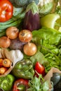 Top view of rich selection of fresh organic vegetables