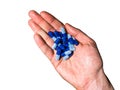 Top view of right, white, hand holding blue pills on white background