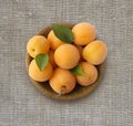 Top view. Ripe apricots on rustic background. Bowl with apricots with leaves. Ripe apricots with copy space for text.