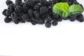 Top view. Ripe blackberries with a mint leaf on white background. Berries at border of image with copy space for text.