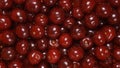 TOP VIEW: Ripe Cherries