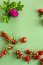 top view of ripe red rose hips Royalty Free Stock Photo
