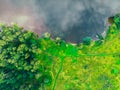 Top view of the river bank, green forest and field