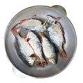 Top view of the river fish, which is fried in a round pan. Cooking in the field. Popular cuisine for travelers and men. Catch fish