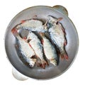 Top view of the river fish, which is fried in a round pan. Cooking in the field. Popular cuisine for travelers and men. Catch